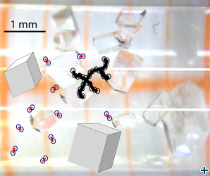 How do protein crystals grow?