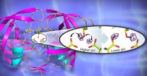 Neutrons for Biotech Industry